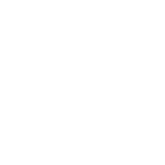 Icon Desarrolladores & TI