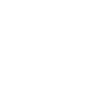 Icon Penetration Testers & Auditores